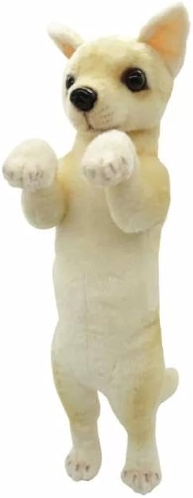 Amazon.co.jp: たっちぃZoo わんこ チワワ たっちぃZOO ワンコ ちわわ