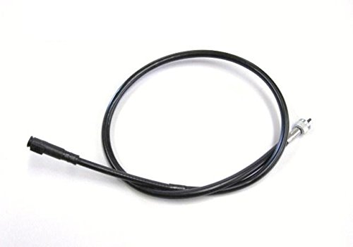 確認用 確認用です 確認用 Dio ZX 「確認用」 確認用 確認用 ホンダ