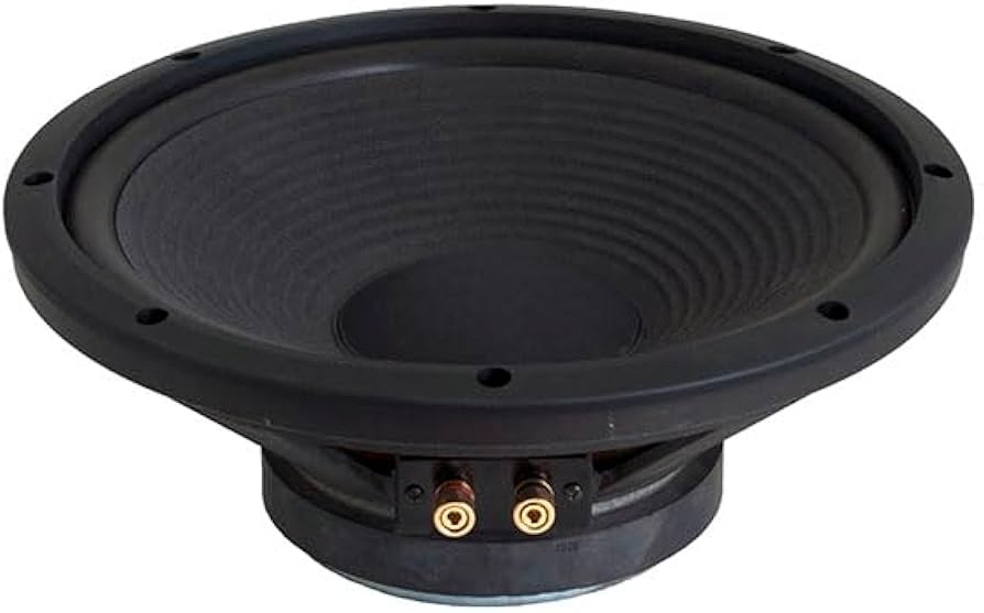 Amazon | Fostex 30cmバスレフ型 ウーハーユニットFW305 | スピーカー