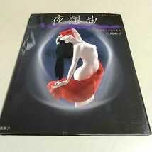 Amazon | 夜想曲 川崎裕子人形写真集 ドールアートシリーズ 新風舎