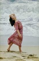 Amazon.co.jp: 岡江久美子写真集 華やかな自転 別冊スコラ 撮影