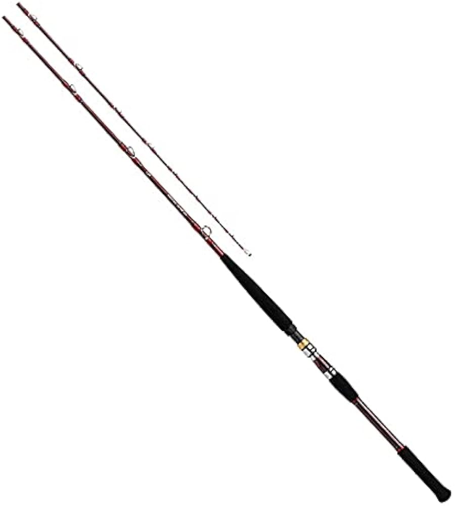 Amazon.co.jp: ダイワ(DAIWA) 21 ディープゾーン GS 150-205・R
