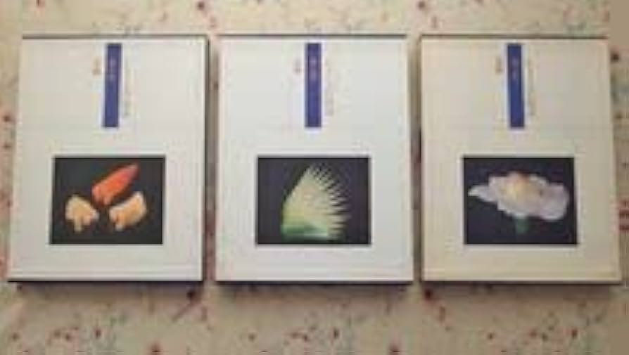 Amazon.co.jp: 13512むきもの技法 全3巻揃 日本料理 身近な野菜で 基本