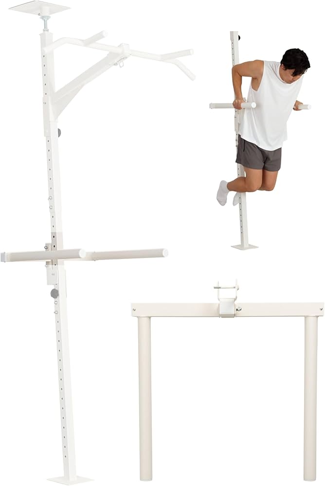 Amazon.co.jp: TEDDY WORKS KENSUI kaku Dedicated Dip Handle, Dip