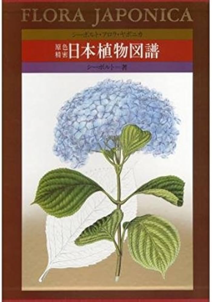 Amazon.co.jp: 原色精密日本植物図譜: シーボルト・フロラ・ヤポニカ