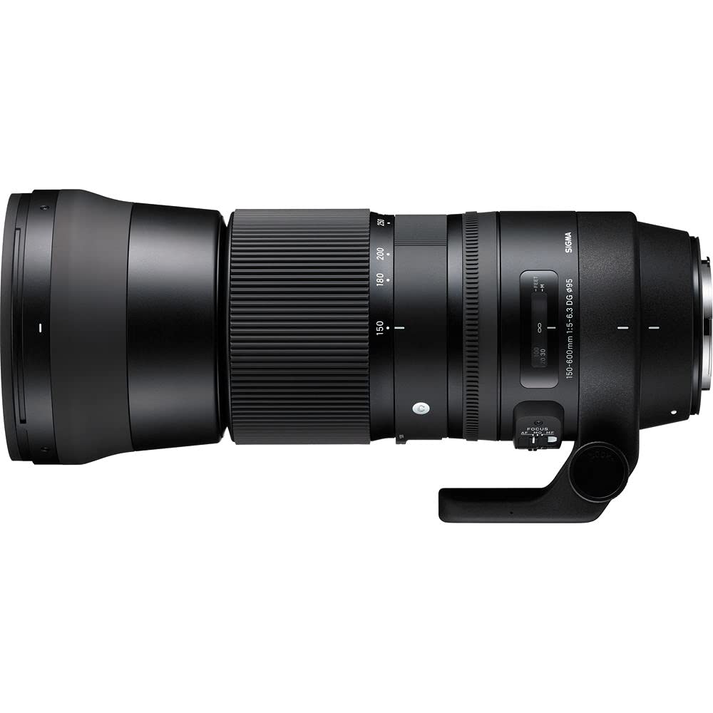 Amazon.com : Sigma 150-600mm F5-6.3 DG Contemporary Lens for Nikon