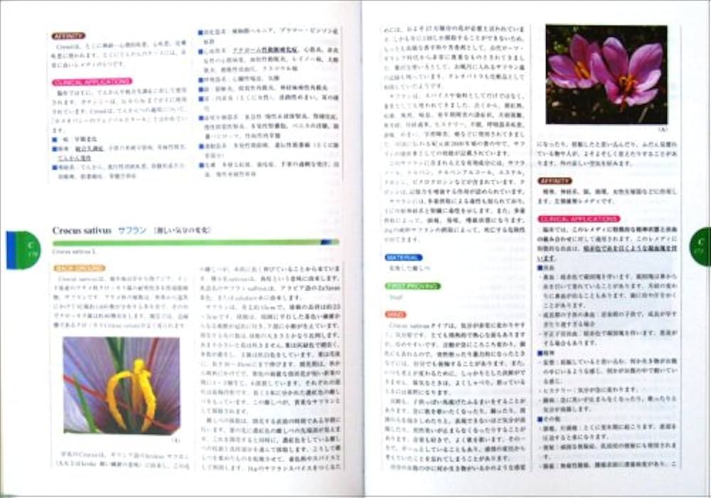 ホメオパシー マテリアメディカ | 森井啓二 |本 | 通販 | Amazon