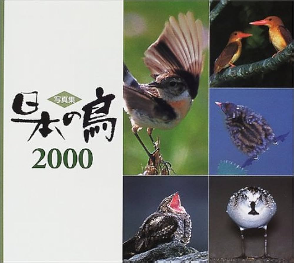 日本の鳥 2000: 写真集 | バーダー編集部 |本 | 通販 | Amazon