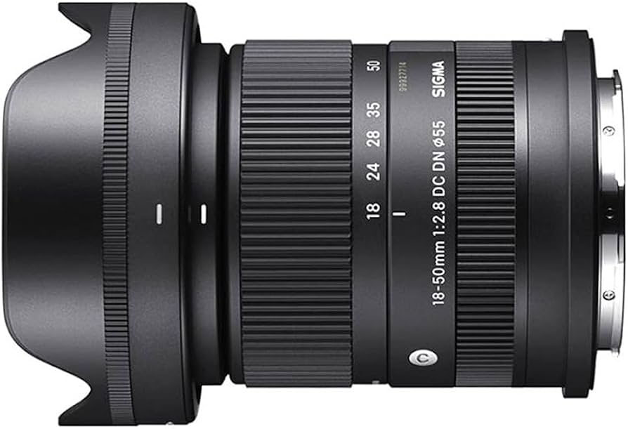 Amazon.com : Sigma 18-50mm F2.8 DC DN Contemporary (for E Mount