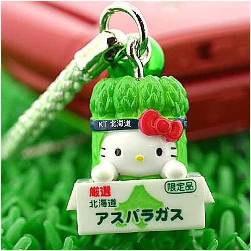 思い出になる♪かわいいキティちゃんのご当地グッズの人気おすすめ