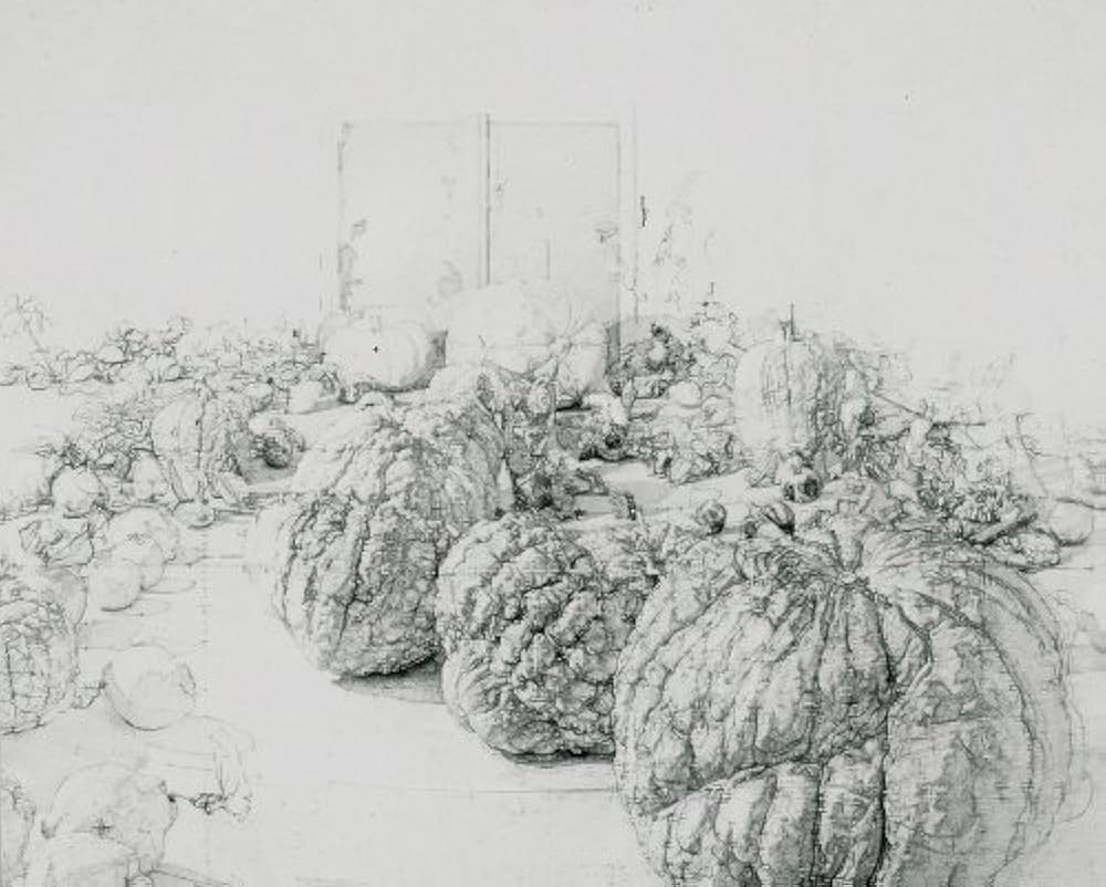 Amazon | Antonio López García: Drawings | López García, Antonio