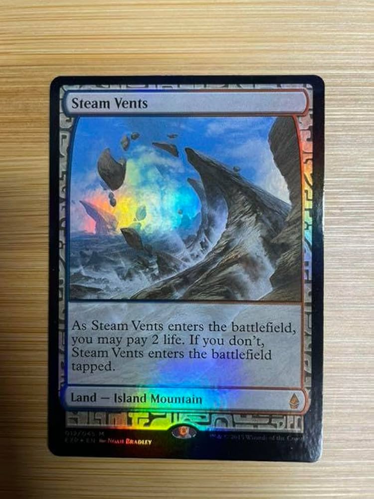 Amazon.co.jp: MTG 蒸気孔 Steam Vents EXP Foil : おもちゃ