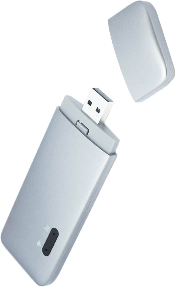 Amazon.co.jp: 【3/1販売開始】ecoco 1年間 10ギガ 付 USB型