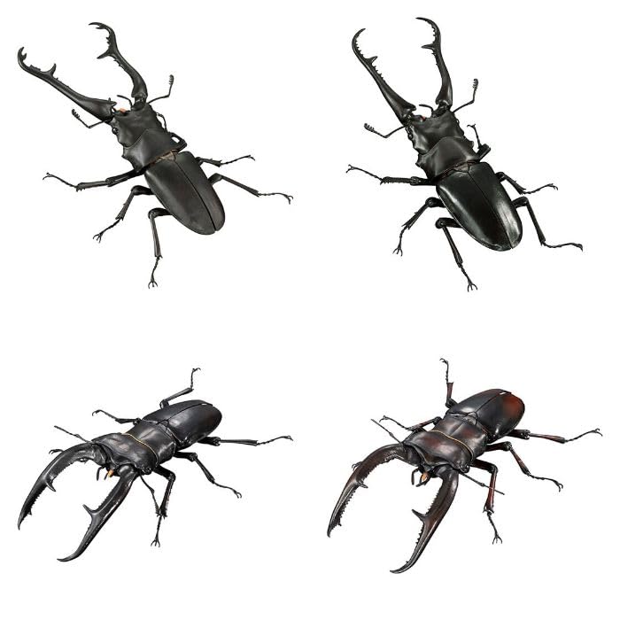 Amazon | いきもの大図鑑アドバンス ギラファノコギリクワガタと