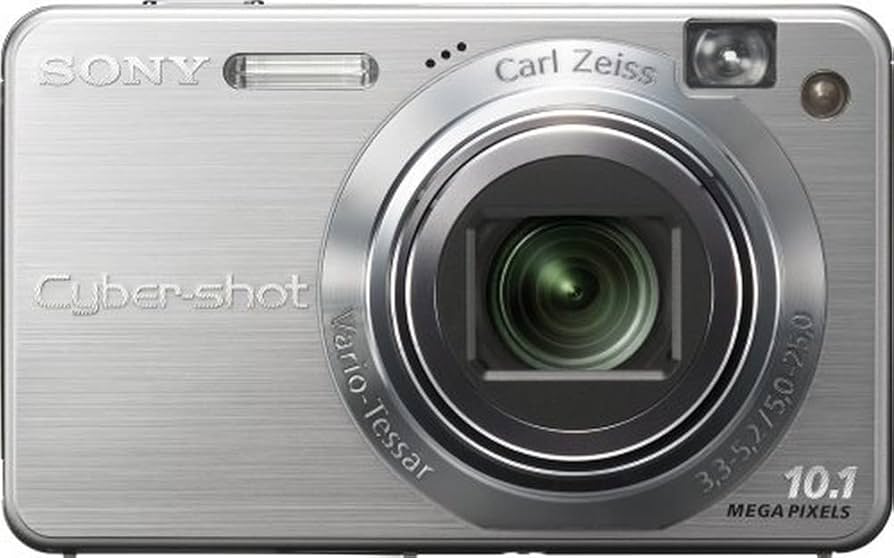 Amazon.com : Sony Cybershot DSCW170 10.1MP Digital Camera with 5x