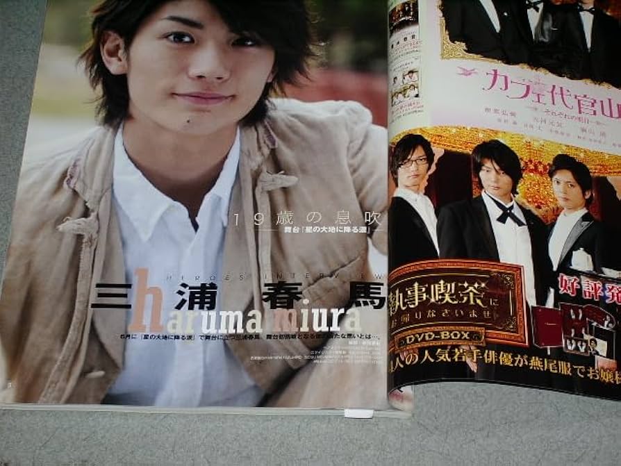 Amazon.co.jp: 日本映画heroes vol.4三浦春馬『星の大地に降る涙