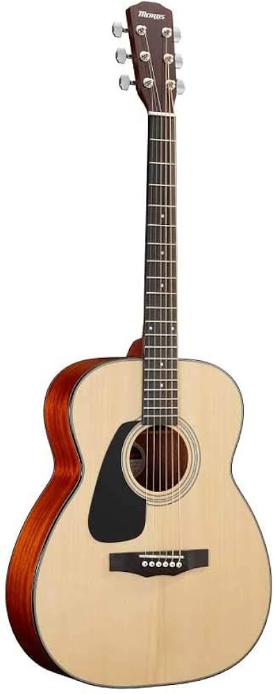 Amazon | MORRIS F-350 LH NAT 左利き用 アコースティックギター
