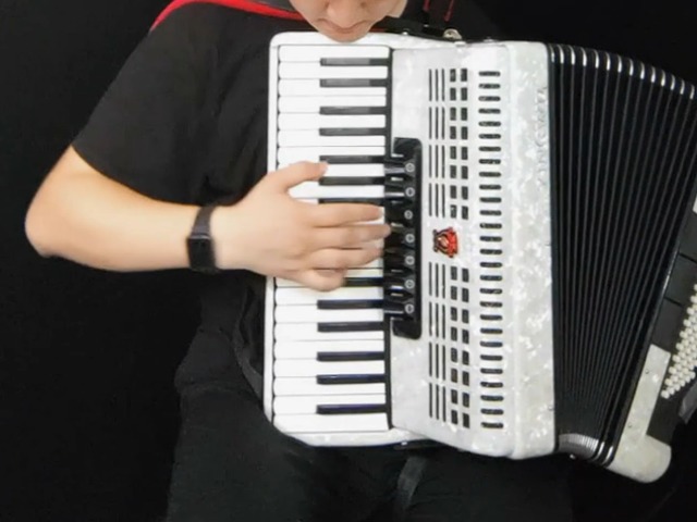 Amazon.com: Accordion 37 Keys 96 Bass, Professional Piano-Style
