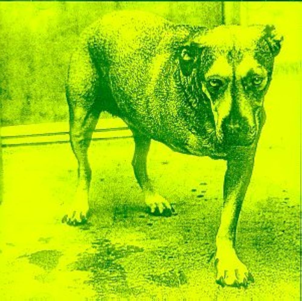 Alice in Chains - Alice in Chains - Amazon.com Music