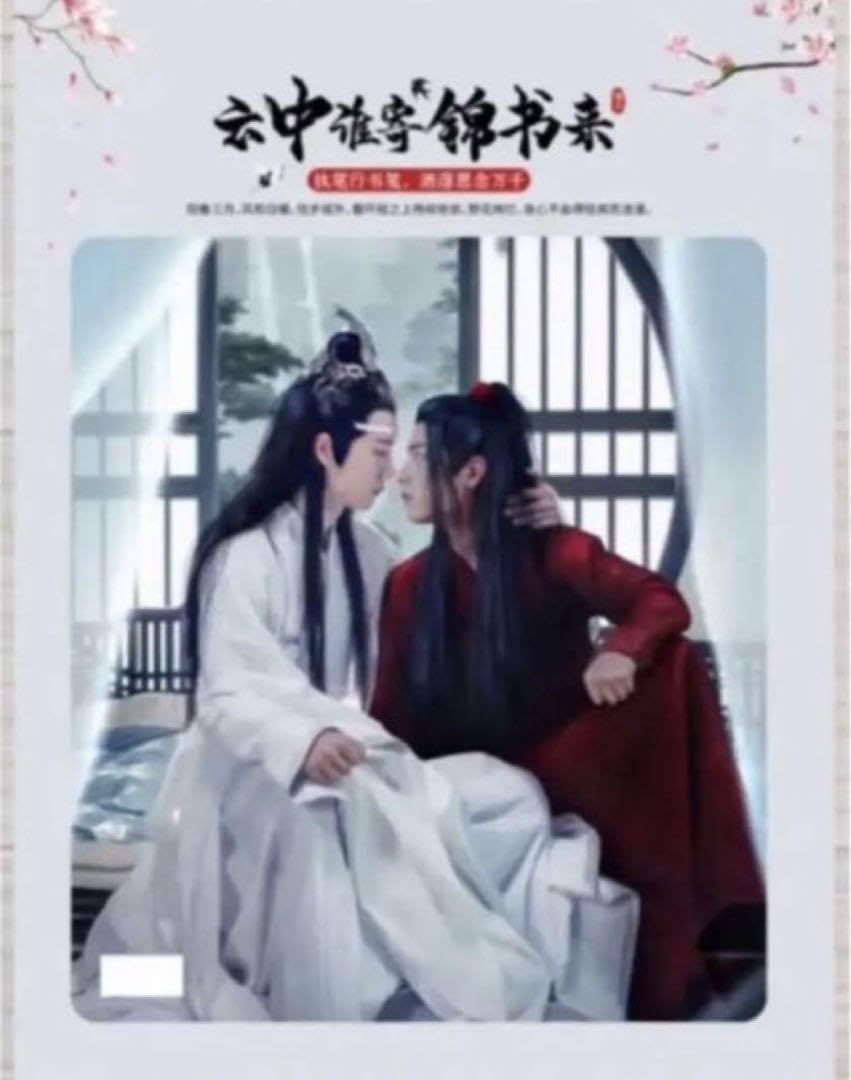 Amazon.co.jp: 中国ドラマ 陳情令 The Untamed 肖戦 王一博 限定写真集