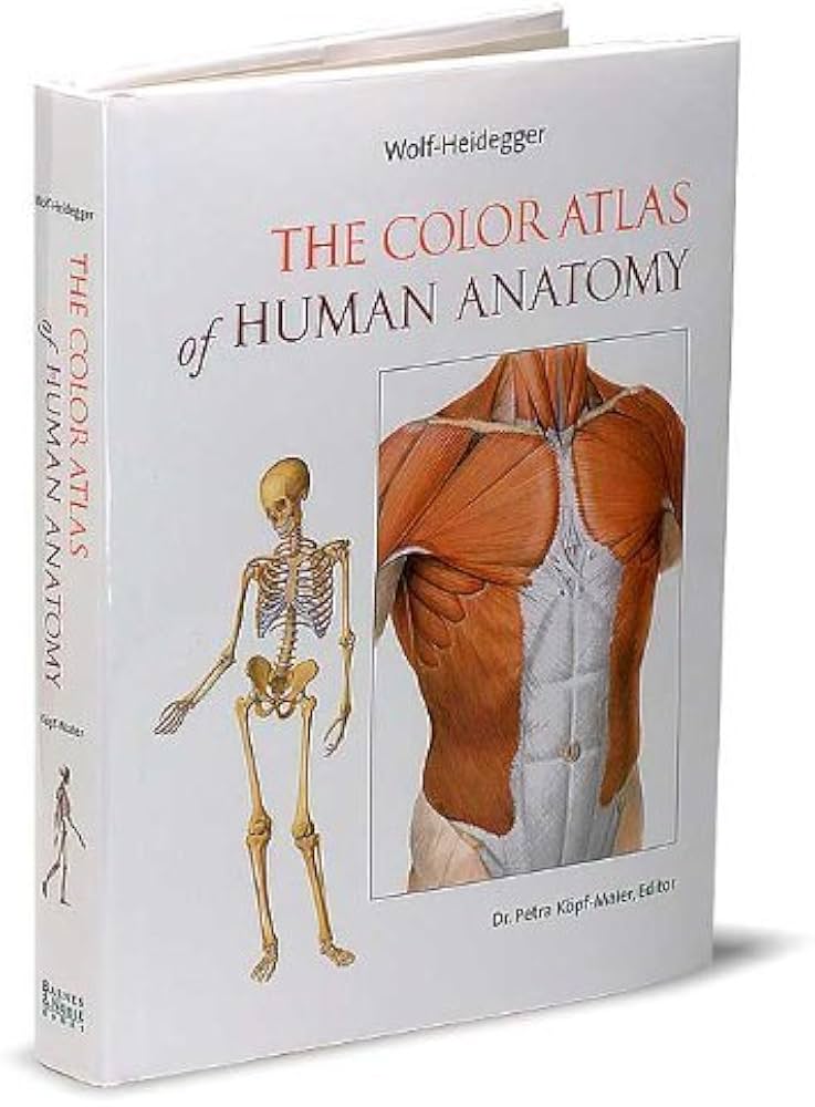 The Color Atlas of Human Anatomy: Kopf-Maier ed., Dr. Petra, Köpf