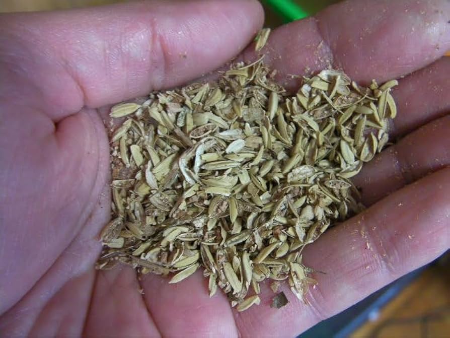 Amazon | 糞尿を分解するマット Bio Gio Mat（バイオジオマット）業務