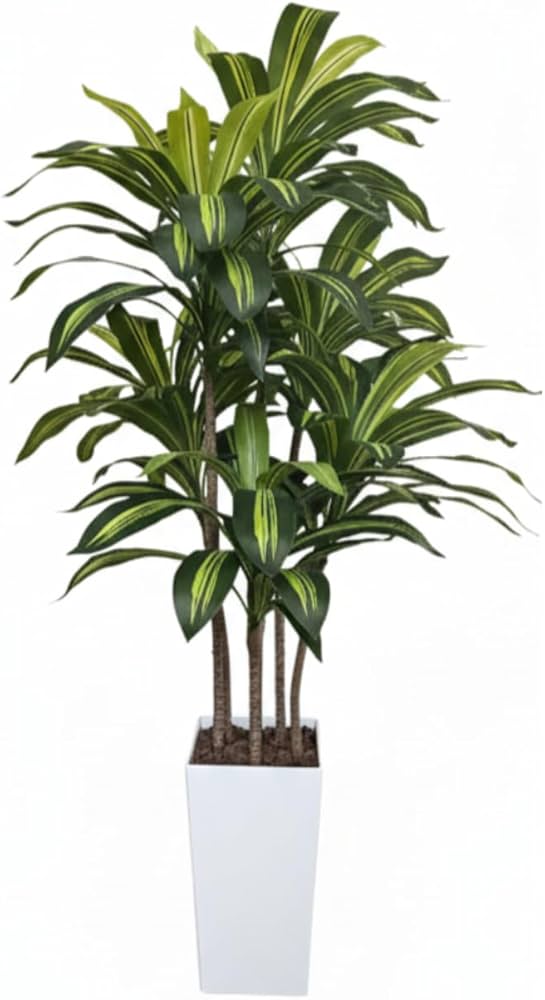 Amazon｜Kugusa 【生花店監修】 フェイクグリーン ドラセナ 150cm 大型