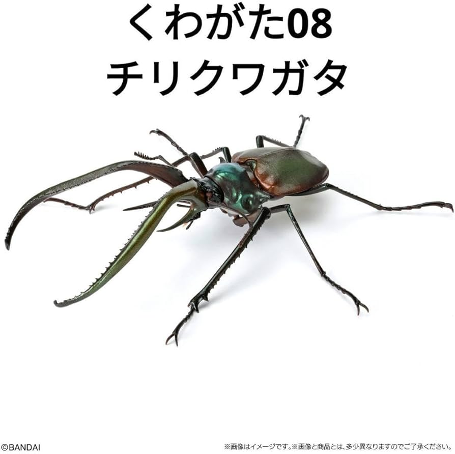 Amazon.co.jp: いきもの大図鑑 くわがた08 チリクワガタ A : おもちゃ