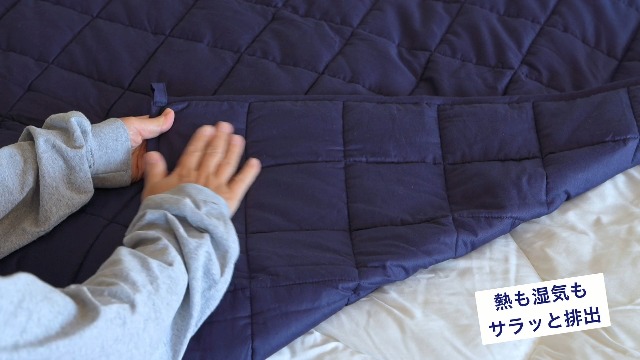 Amazon｜月夜のネコ 極重 （ ごくおも 6.8kg ） 掛け布団 シングル