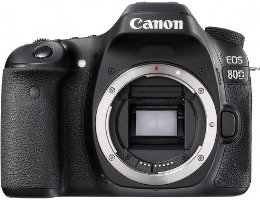 Amazon.com : Canon EOS 80D DSLR Camera (1263C004) W/Bag, Extra