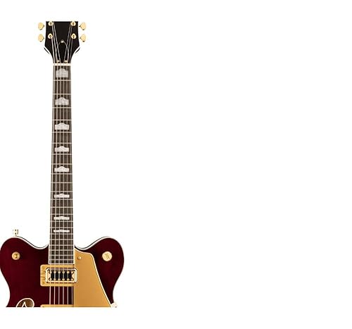 Amazon.com: Gretsch G5422TG Electromatic Classic Hollowbody Double