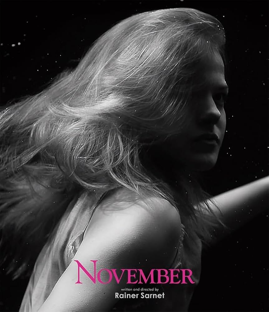 Amazon.co.jp: ノベンバー [Blu-ray] : レア・レスト,ヨルゲン・リーク
