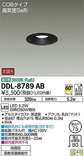 Amazon.co.jp: 大光電機（DAIKO） ダウンライト(軒下兼用) LED