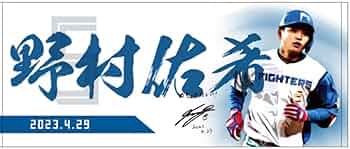 Amazon.co.jp: 野村佑希 ダイジェストグッズ フェイスタオル 北海道