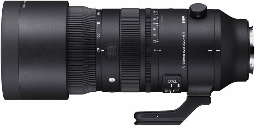 Amazon.com : Sigma 70-200mm F2.8 DG DN OS for L-Mount : Electronics