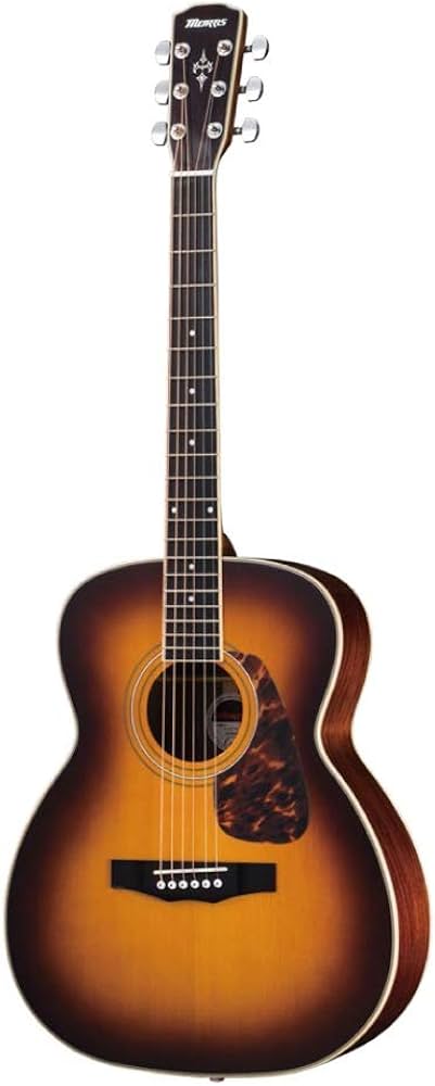 Amazon | Morris F-022 TS タバコサンバースト モーリス フォーク