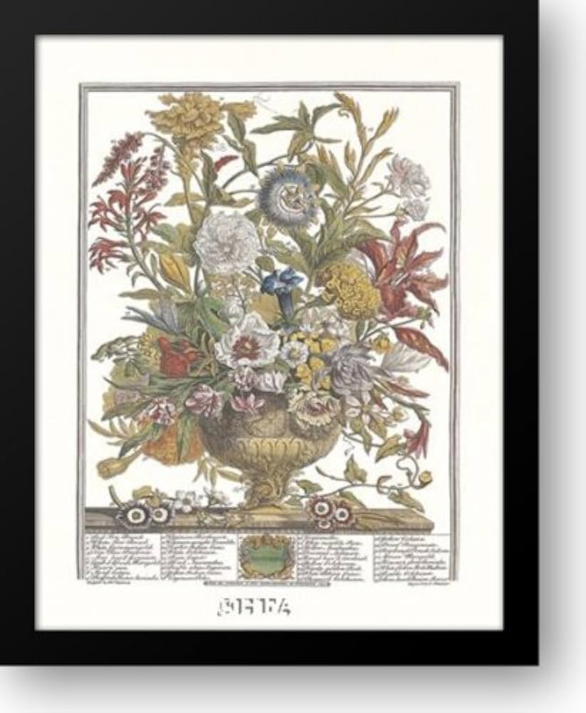 Amazon.com: Twelve Months of Flowers, 1730/September 14x16 Framed