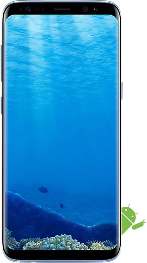 Amazon.com: Samsung Galaxy S8 Unlocked Phone - 5.8Inch Screen