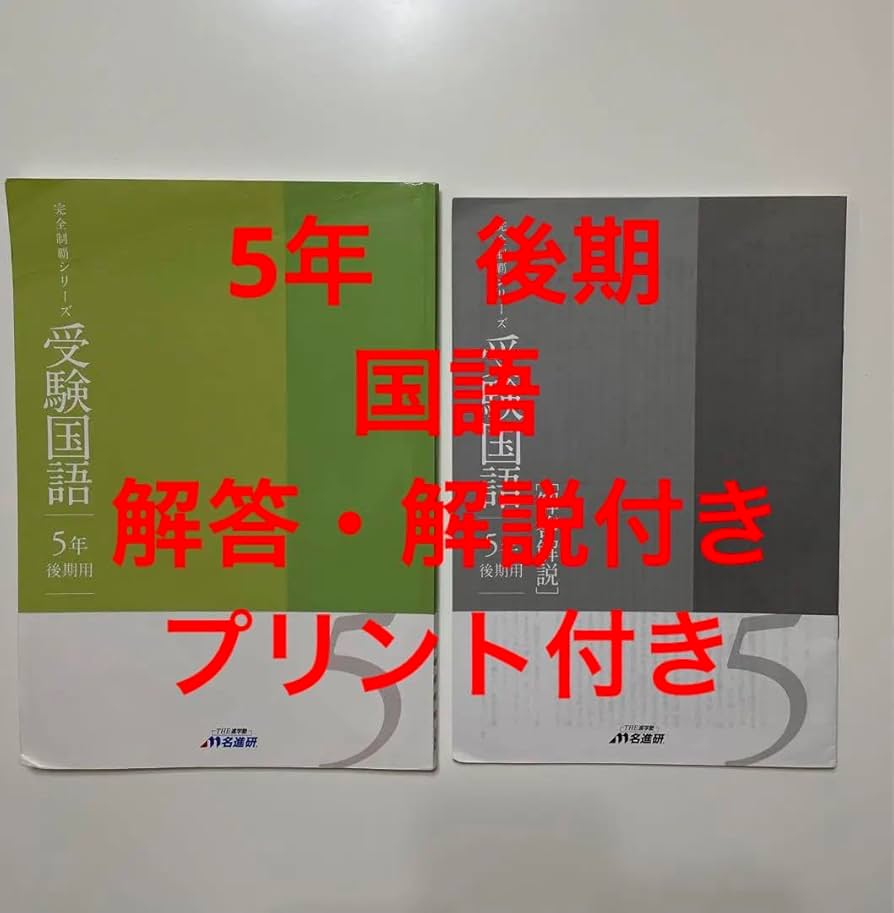 Amazon.co.jp: 名進研 5年生 後期 国語 完全制覇 : おもちゃ