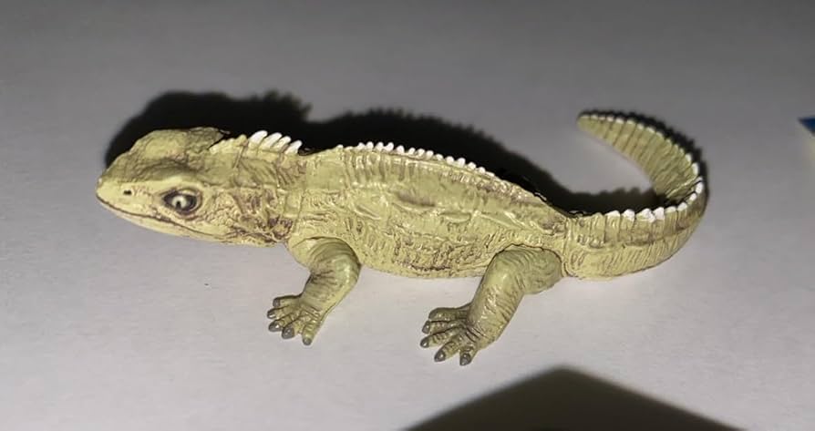 Amazon.co.jp: 単品 UHA味覚糖 チョコラザウルス DINOTALES 第2