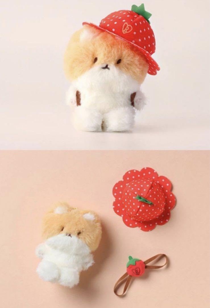 Amazon.co.jp: EXO ベッキョン トレギ Berry Lover TEOLAEGI 10cm