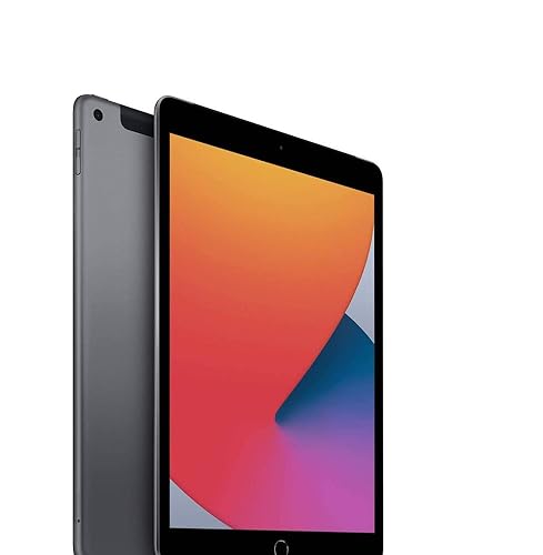 Amazon.com : Apple 2020 iPad 8th Generation (10.2-inch, Wi-Fi +