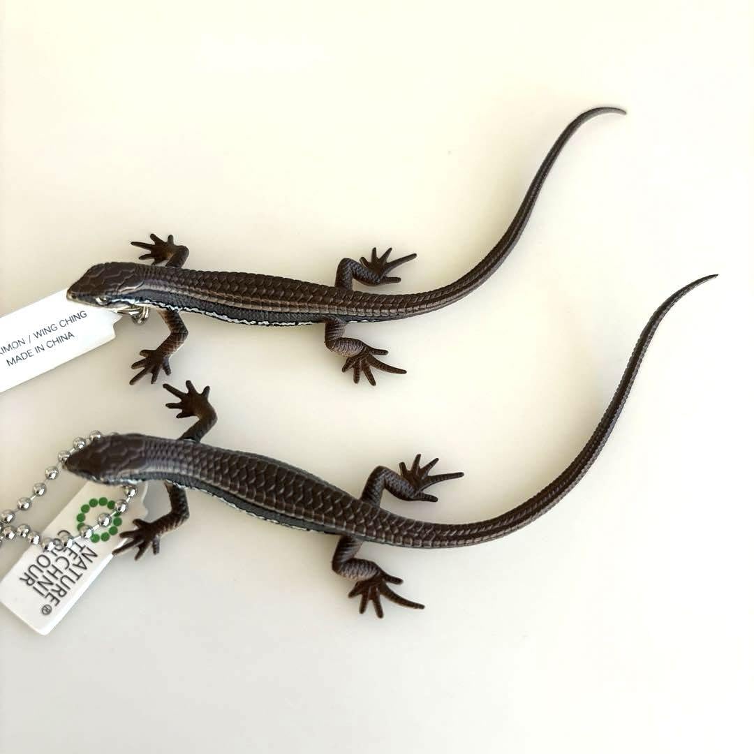 Amazon.co.jp: ネイチャーテクニカラー トカゲとヤモリ カナヘビ 2個