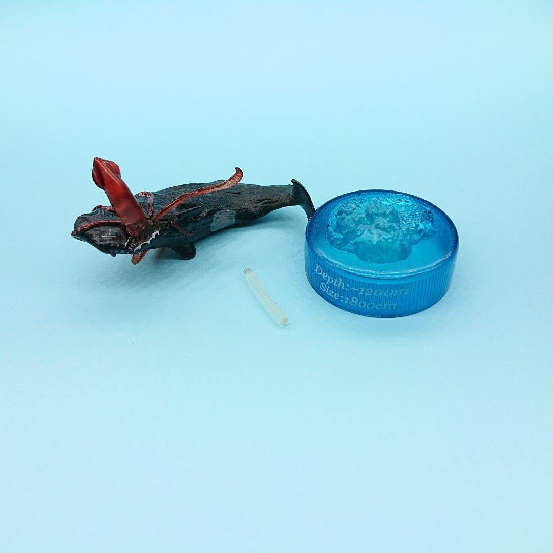 マッコウクジラの牙 七福神 玉峰作 ケース付き マッコウクジラの牙