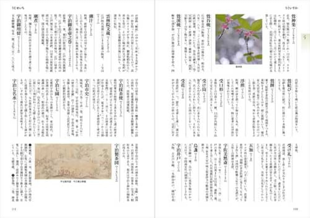 新版 茶道大辞典 | 筒井 紘一, 末 宗廣, 井口 海仙, 永島 福太郎, 筒井