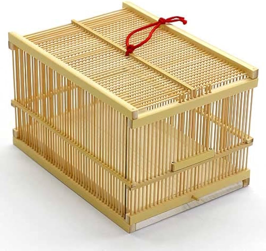 Amazon.co.jp: 駿河竹千筋細工 角型虫篭 虫籠 静岡県伝統工芸品 久保田
