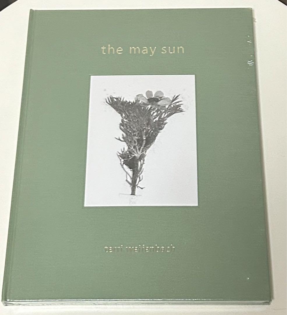 Amazon.co.jp: テリワイフェンバック Terri Weifenbach The May Sun