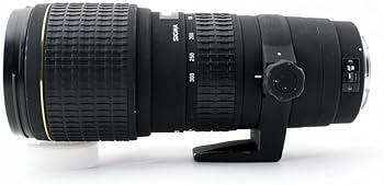 Amazon.co.jp: シグマ 100-300mm F4 APO EX DG HSM キヤノン用 : 家電