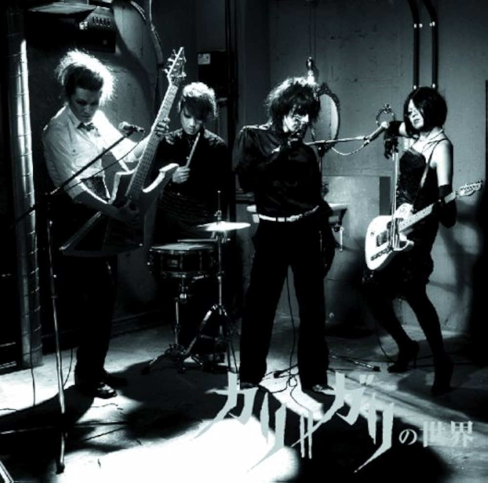 cali≠gari - カリ≠ガリの三〇周年 ライヴ音源集 DVD-ROM cali gari