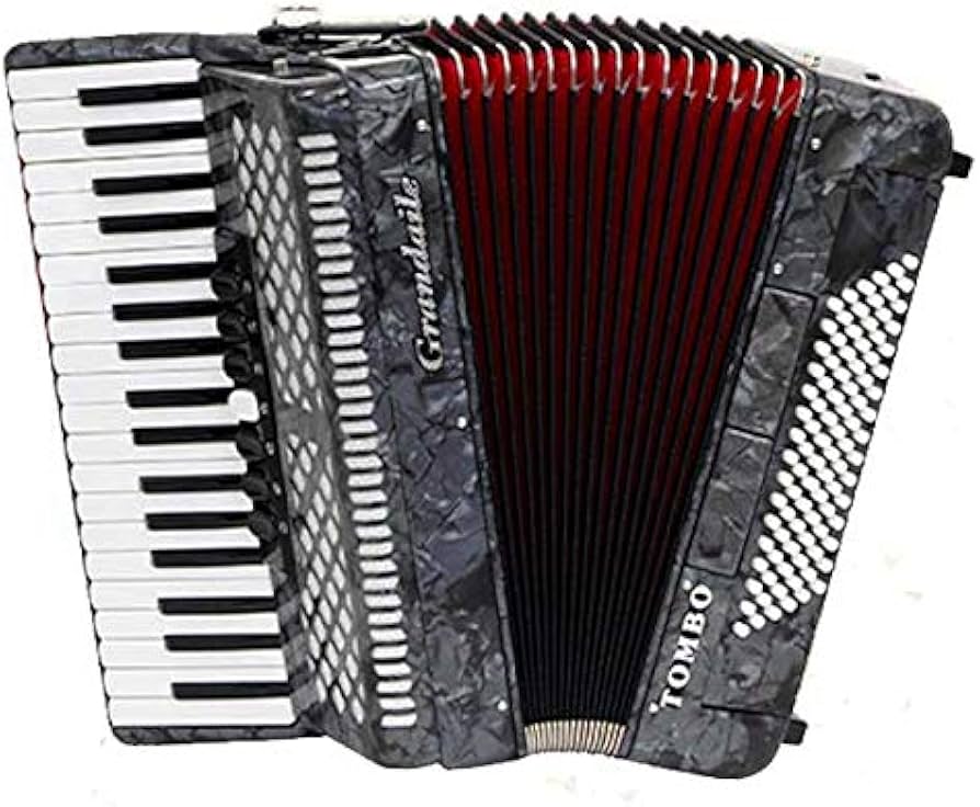 Amazon | TOMBO GT-96 コスモ・グレー・パール 37鍵 96ベース